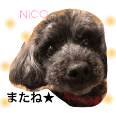 nico.s stamps