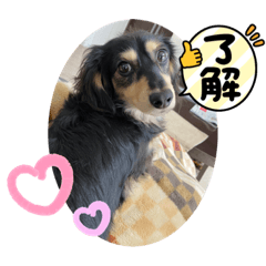 tommy_20210616223136