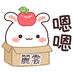嬌嬌兔姓名貼_麗雲專用