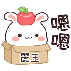 嬌嬌兔姓名貼_麗玉專用