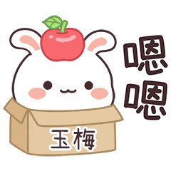 嬌嬌兔姓名貼_玉梅專用