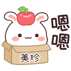 嬌嬌兔姓名貼_美珍專用