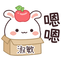 嬌嬌兔姓名貼_淑敏專用