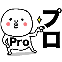 PROFESSIONAL CAN STICKER