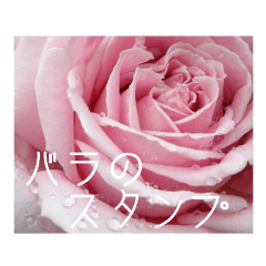 Sticker with roses