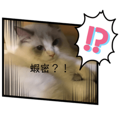 平凡就是幸福