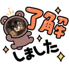 こここここあ
