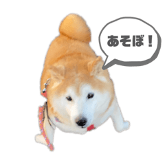 riho_20210617012144