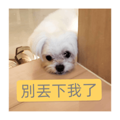 美樂蒂&雪糕姊妺：日常篇