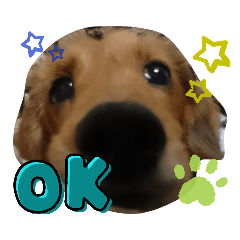 CREAM_20210617004200