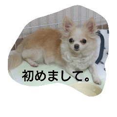 Nice to meet you.