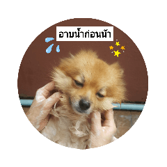 Piano_20210617113608