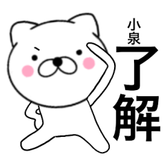 Name cat Koizumi