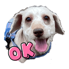 momoko_20210617162514