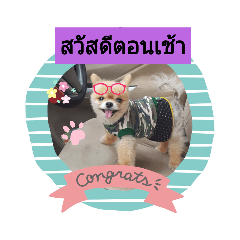 bee_20210617130158