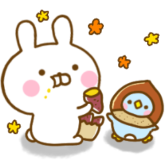 Rabbit Usahina friendly autumn
