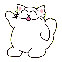 One piece of everyday cats