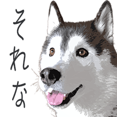 Husky sticker balto 2