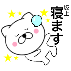 Name cat Sakagami