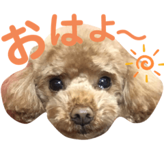 Kuu_20210617192538
