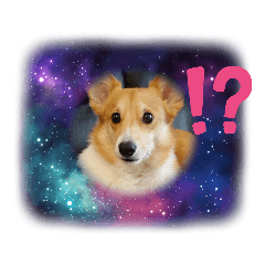 KAITO_20210617192948