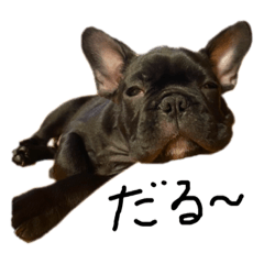 sumireyamamoto_20210617202405