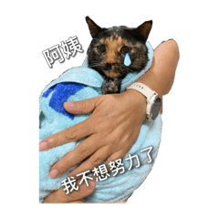 可愛又實用的貓貓貼圖