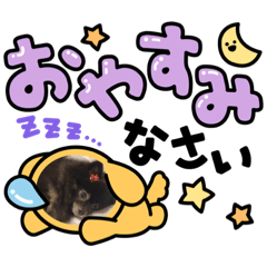 RINA_cocoa039