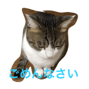 kinako2