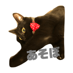 shimuLEO_20210617211108