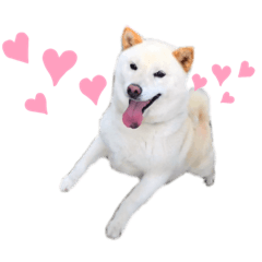 yuka_20210617211129