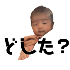 ばはなはまには