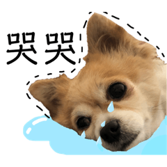 嘟嘟保北3