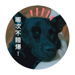 黑吿