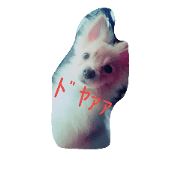 DOKUZETUWANWANO