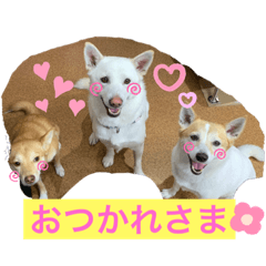 HANA_20210618131454