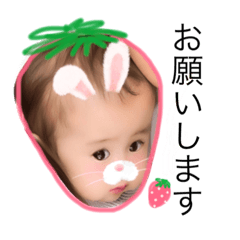 kinjosarasa
