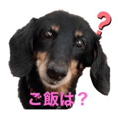 kero_20210618000623