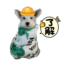 aloha._20210618014734