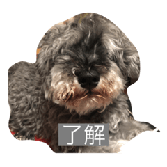 Omayu_20210618034646