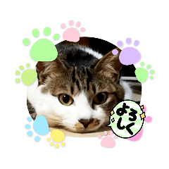 Himawari_20210618020931