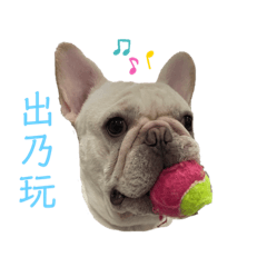 辛巴吃吃喝喝睡覺覺