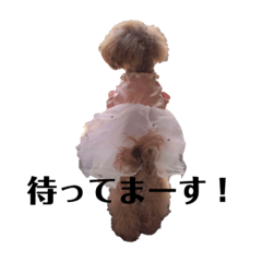 ayumi_20210618153417