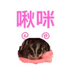 Emma的啾啾&咪咪