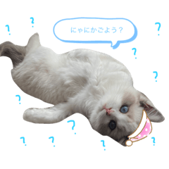 osakanako_20210618004219