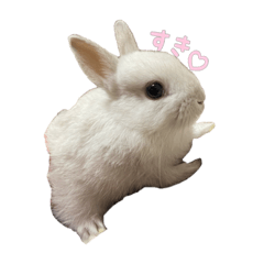 omochi_20210617225230
