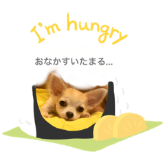 yukari_20210618182654