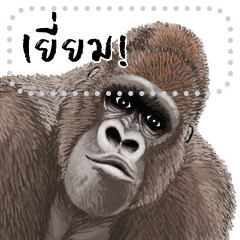 gorilla silverback message