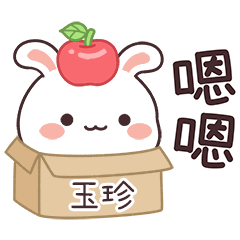 嬌嬌兔姓名貼_玉珍專用