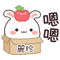 嬌嬌兔姓名貼_麗珍專用